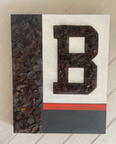 Cleveland Browns ~ Cleveland Lake Erie Beach Glass Art