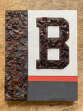 Cleveland Browns ~ Cleveland Lake Erie Beach Glass Art