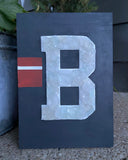 Cleveland Browns ~ White Beach Glass Art
