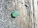 "Calm" Beach Glass Marble on Sandy Driftwood 5 x 7 Print ~ Signed